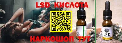 гидра Будённовск