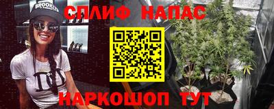 гидра Будённовск