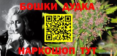 гидра Будённовск