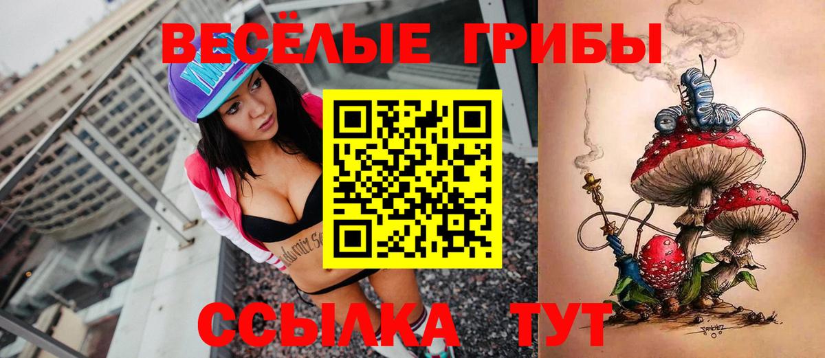 Москва  Галлюциногенные грибы прущие грибы  Вход с VPN 